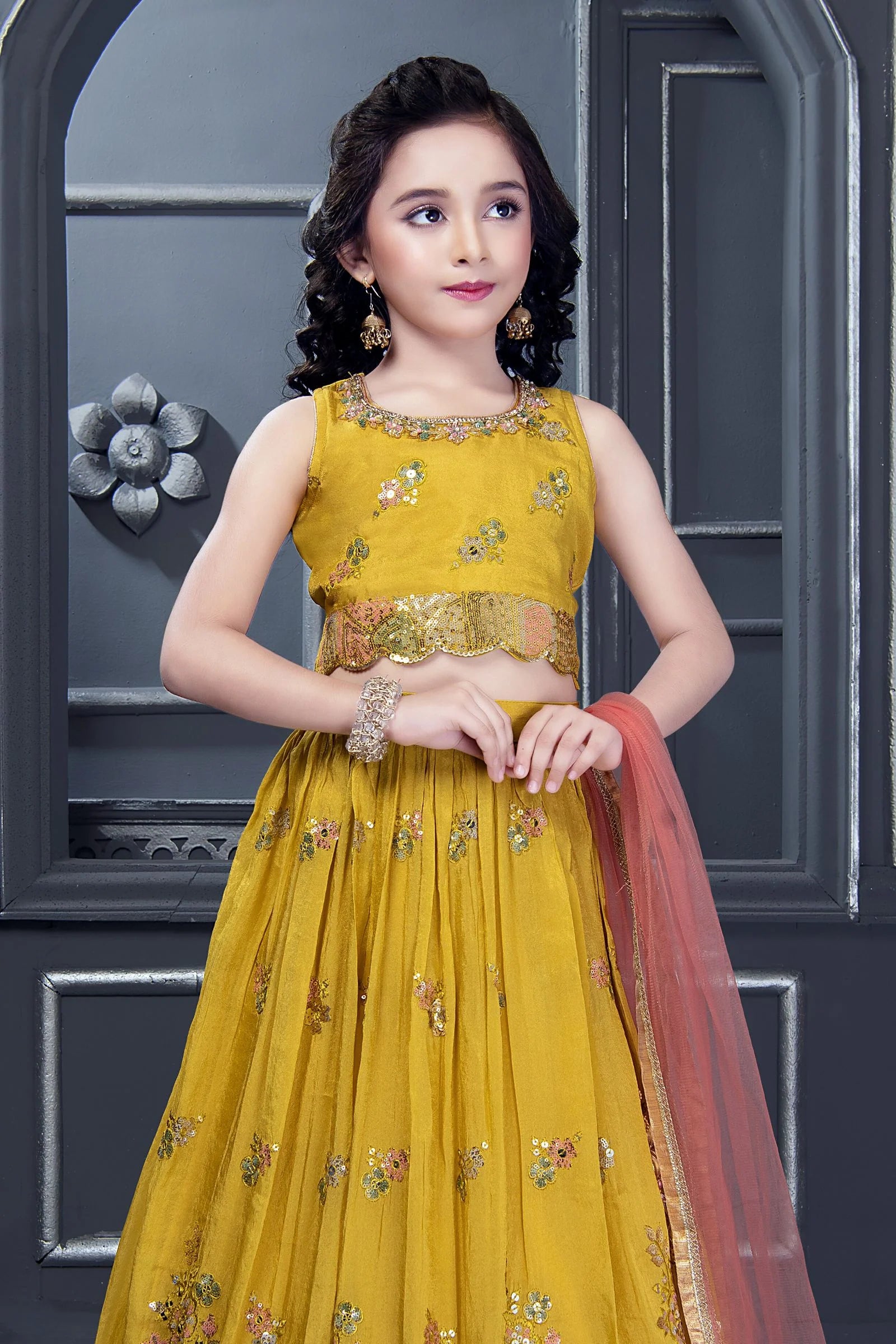 Helly Lehenga Choli Suit