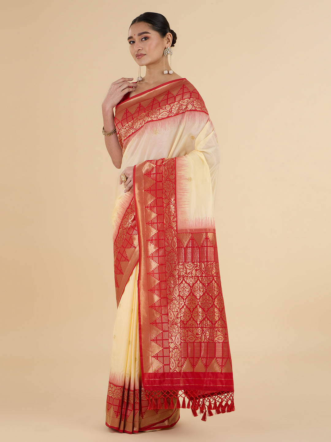 Parisha Choli Saree