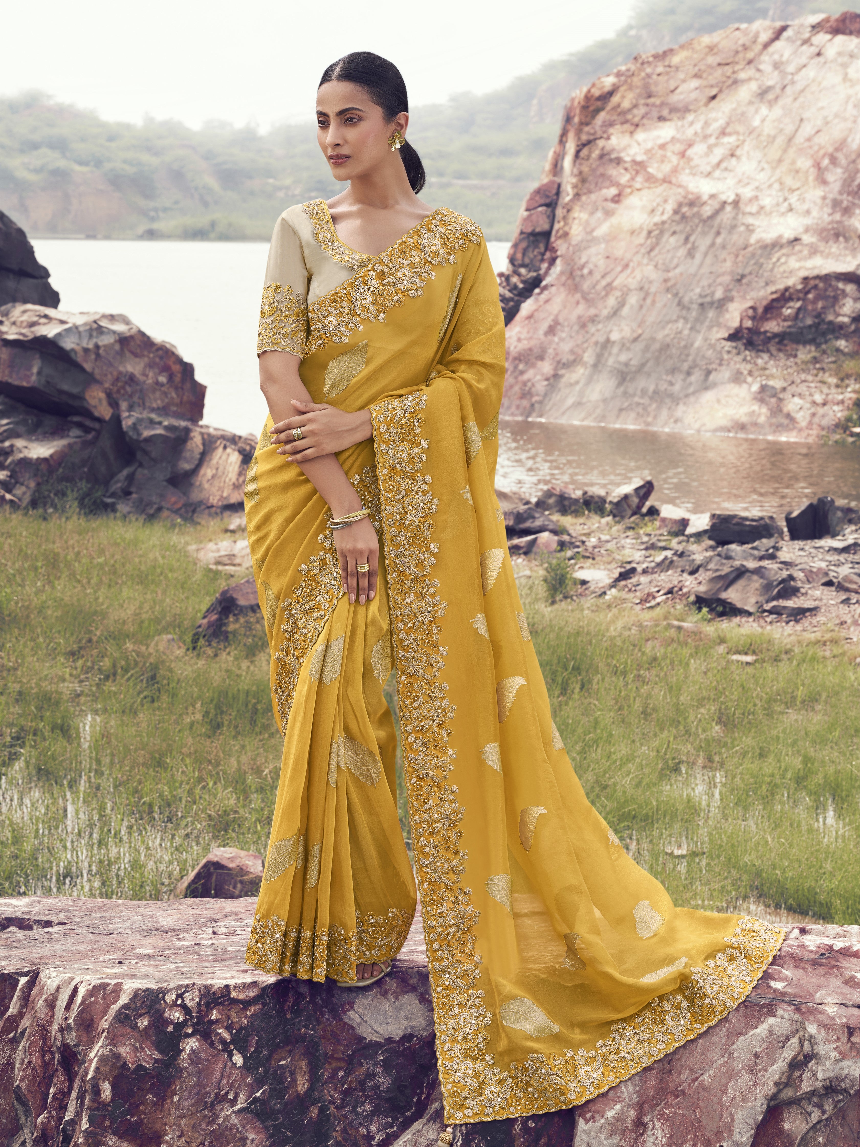 Aarohi Saree - Roop Darshan