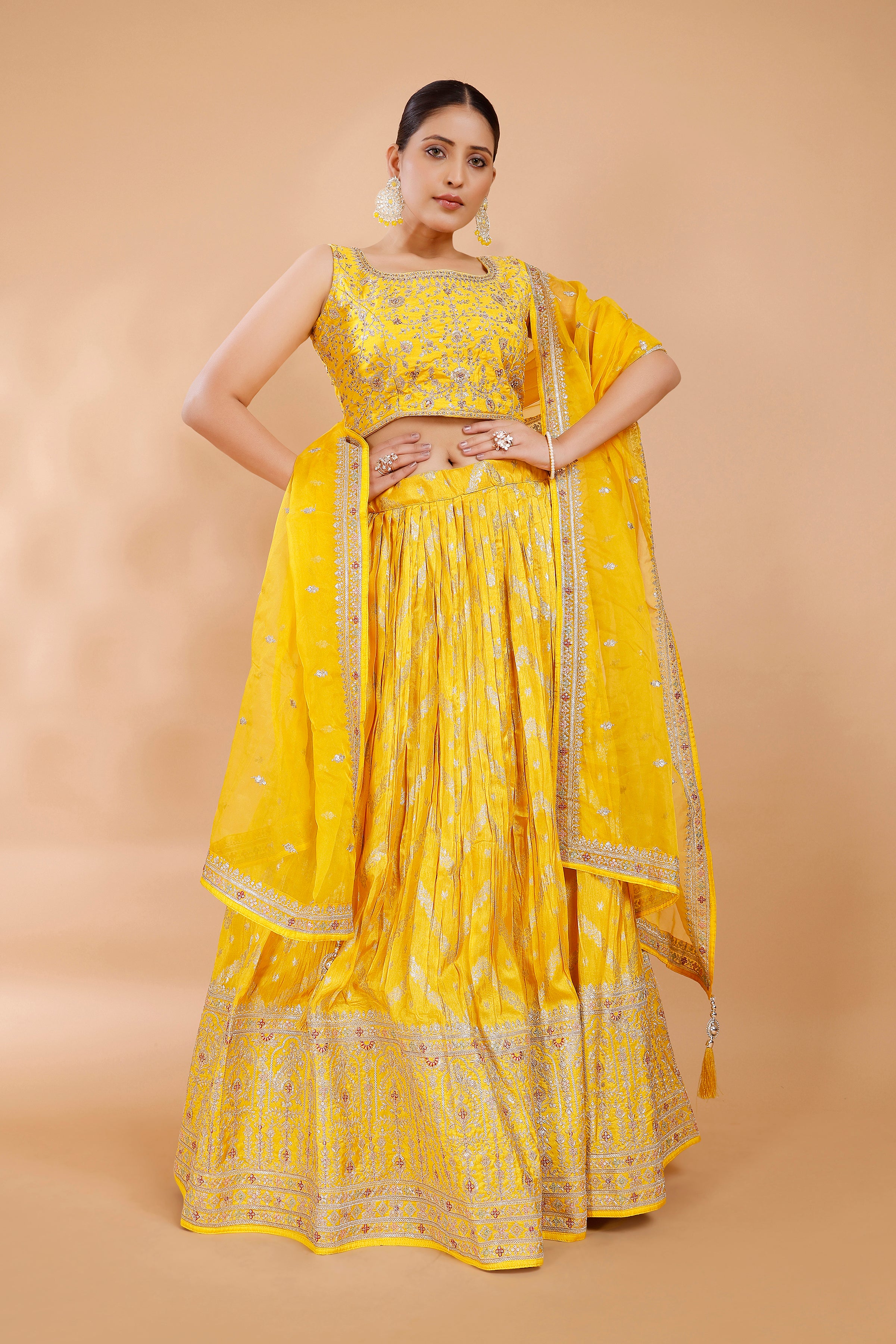 Priyali Lehenga Choli - Roop Darshan