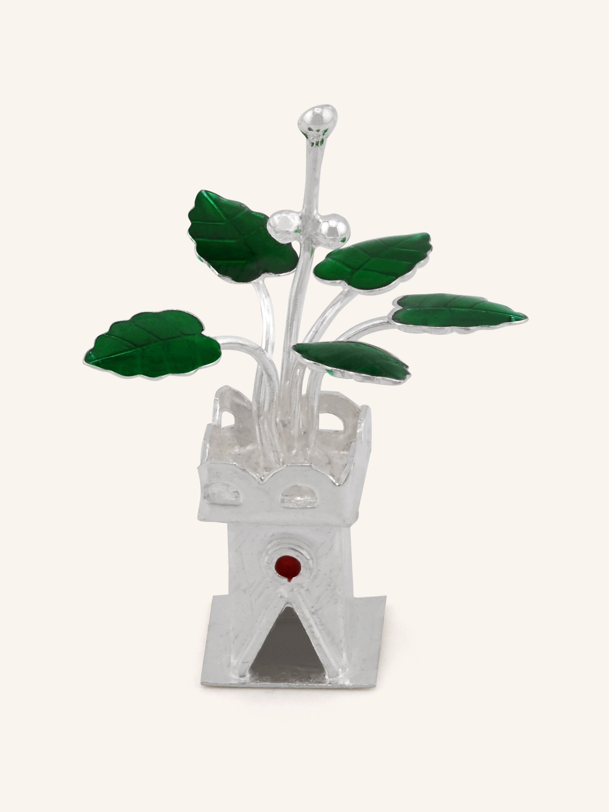 Silver Tulsi