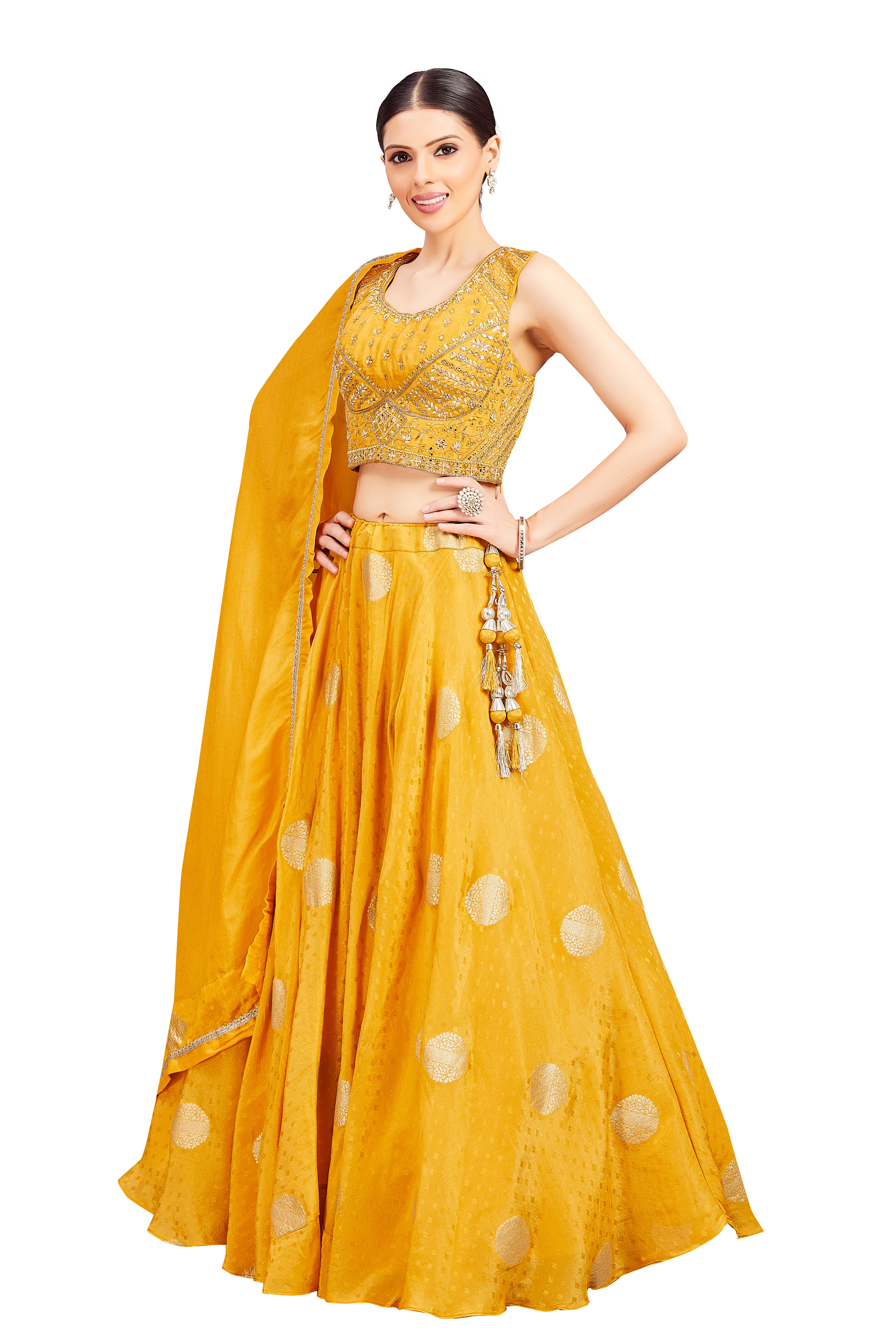 Neela Lehenga Choli - Roop Darshan