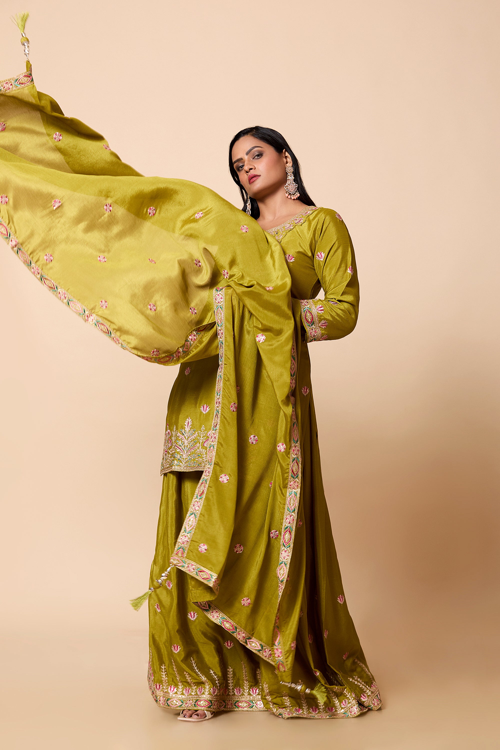 Rani Palazzo Suit - Roop Darshan