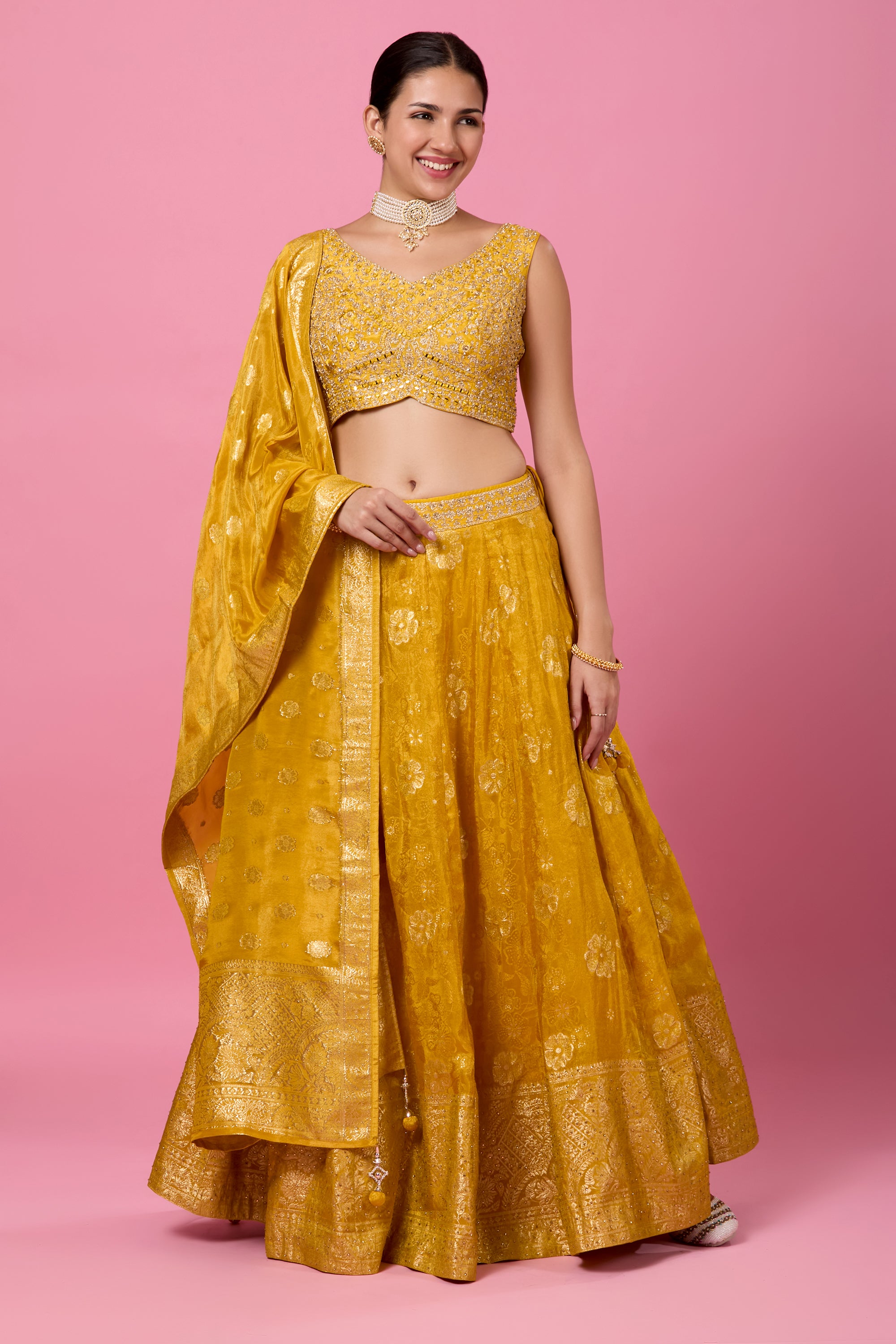 Aarna Lehenga Choli - Roop Darshan