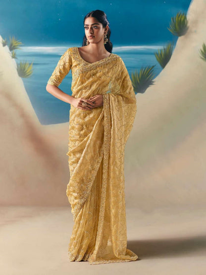Mayra Choli Saree - Roop Darshan