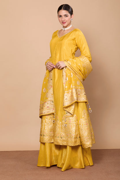 Falguni Flair Palazzo Suit - Roop Darshan