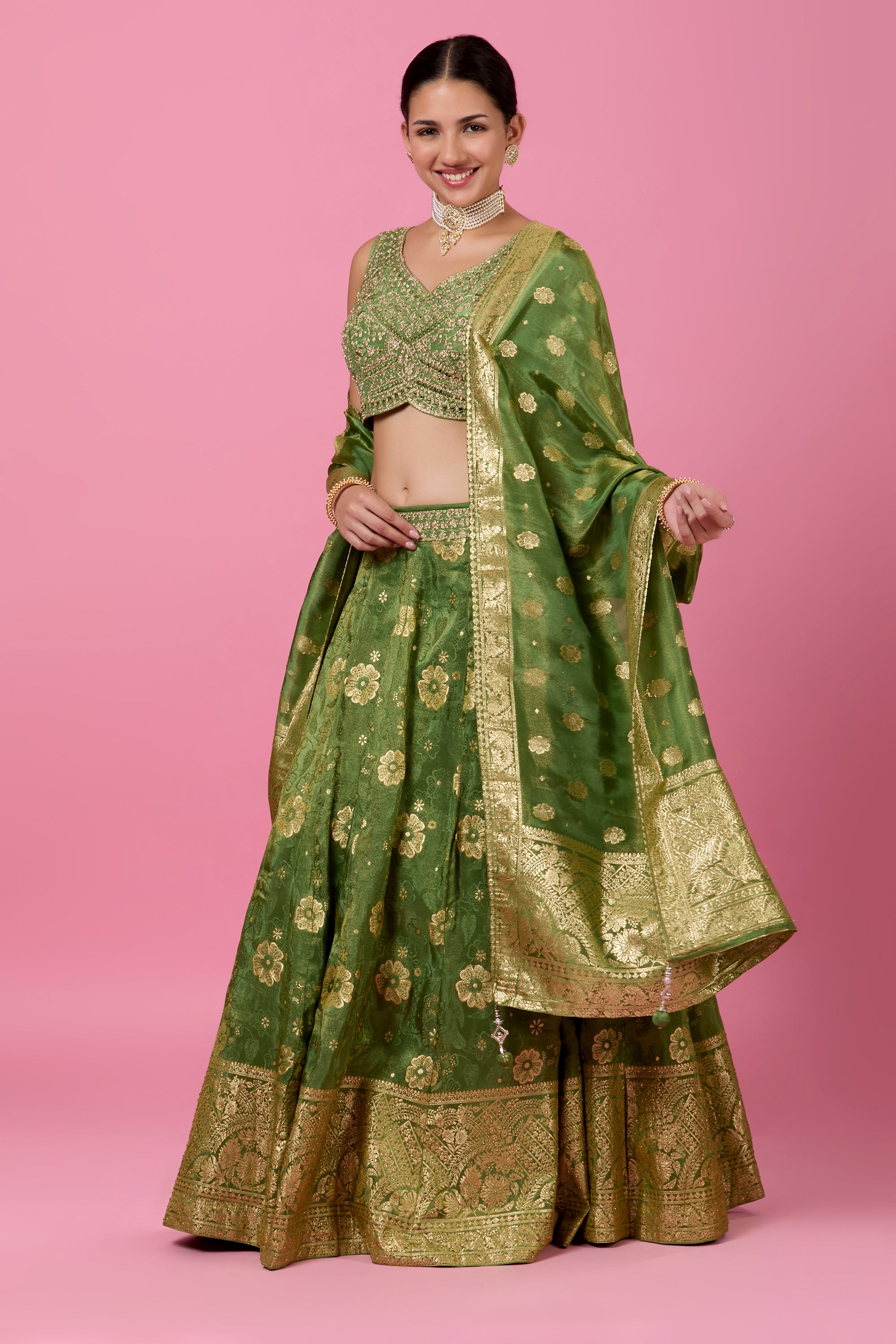 Aarna Lehenga Choli - Roop Darshan
