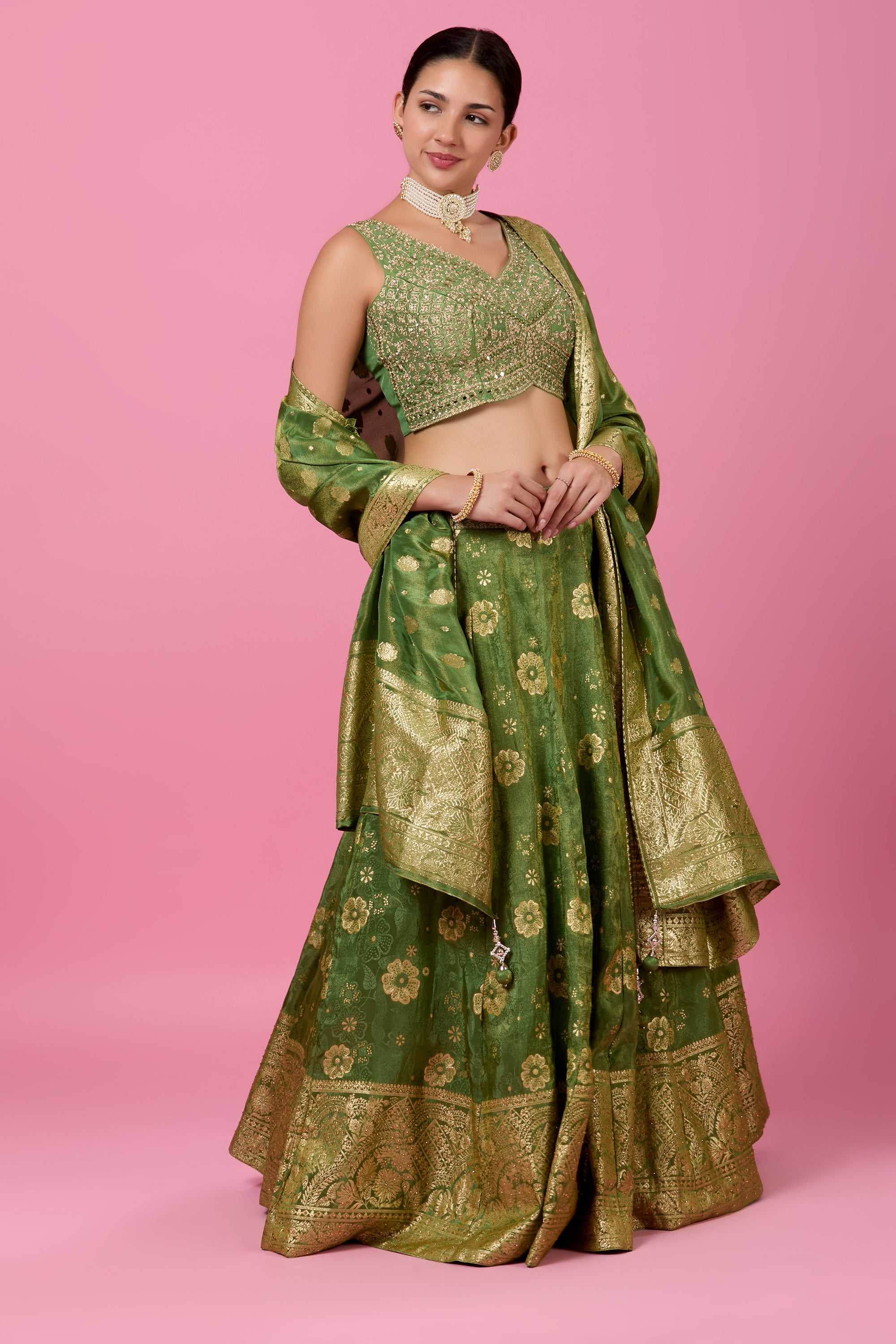 Aarna Lehenga Choli - Roop Darshan