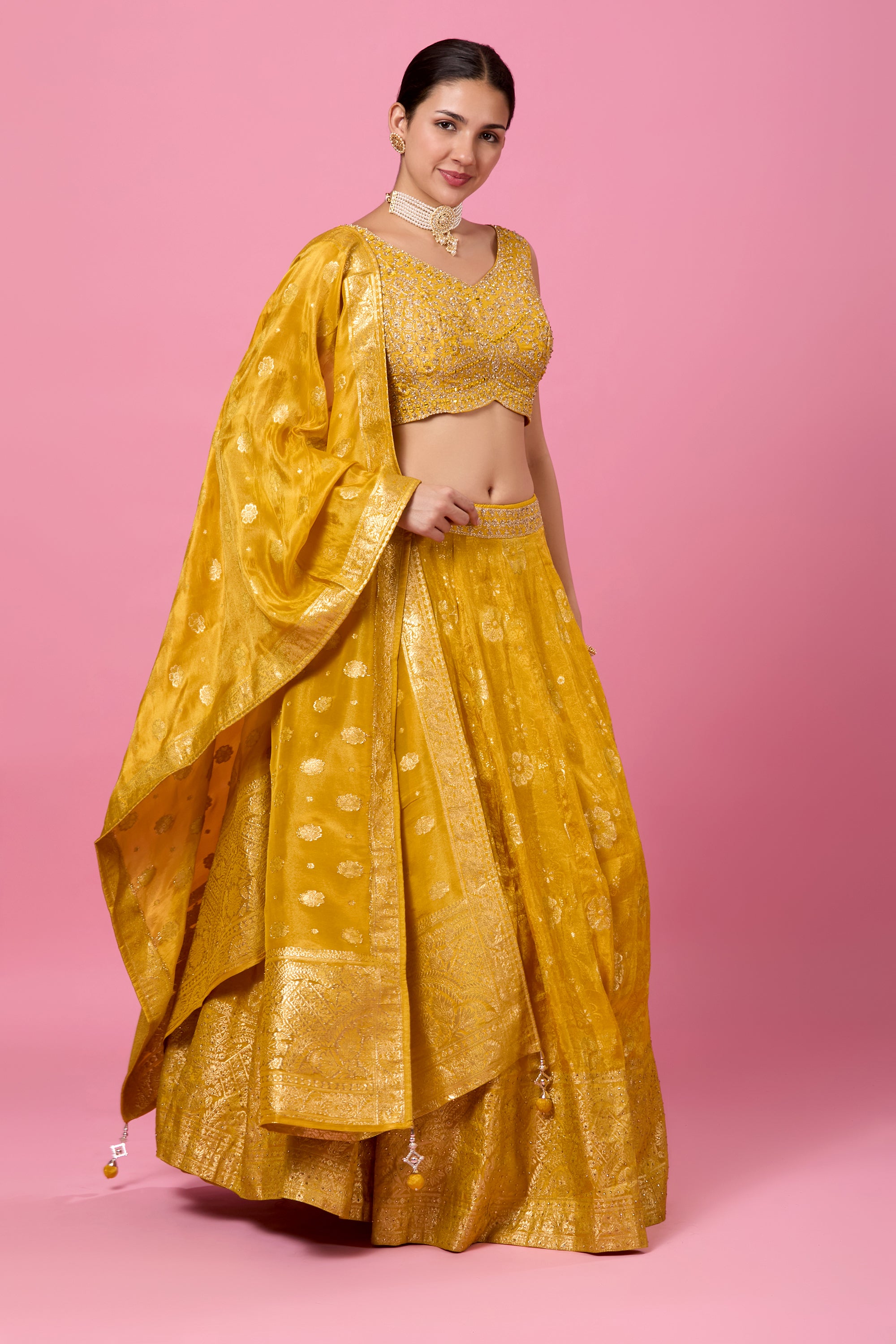 Aarna Lehenga Choli - Roop Darshan