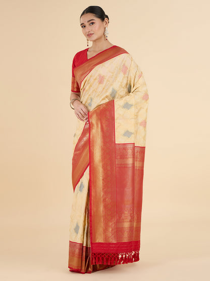 Rashi Choli Saree