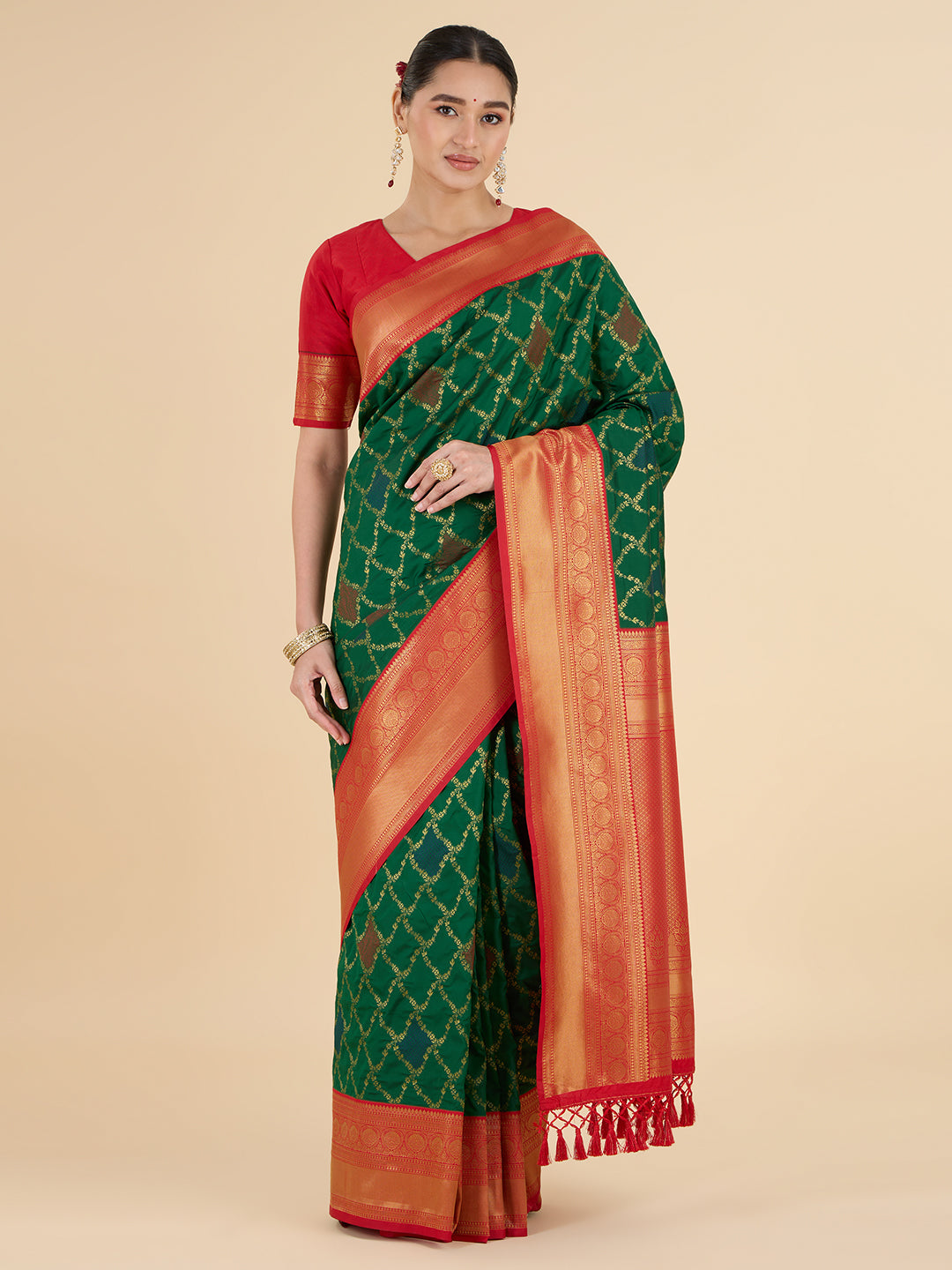 Rashi Choli Saree