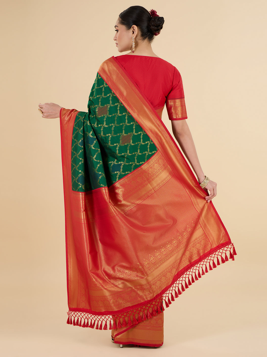 Rashi Choli Saree