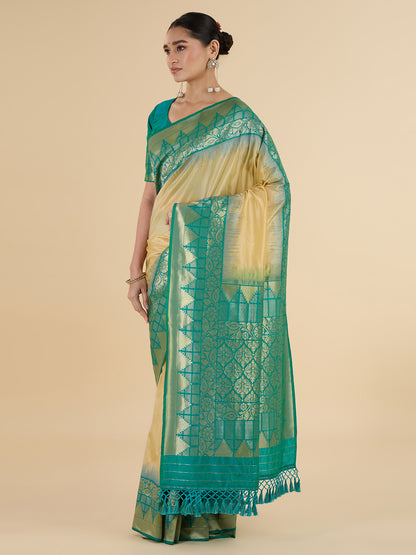 Parisha Choli Saree