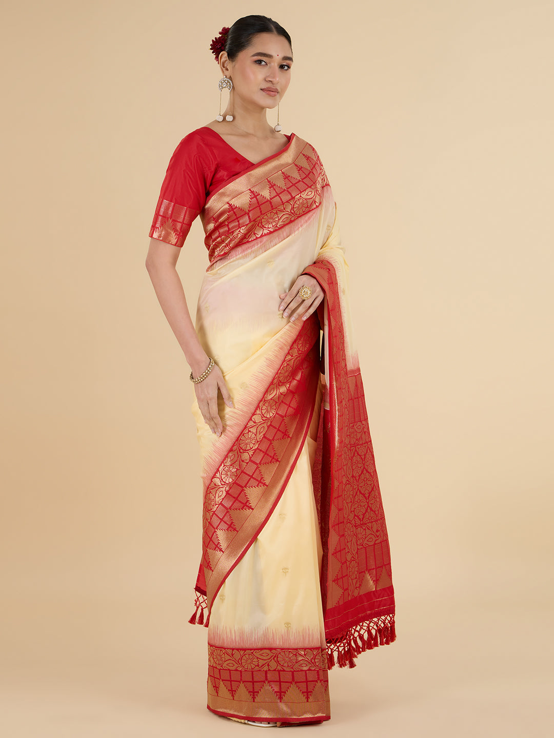 Parisha Choli Saree
