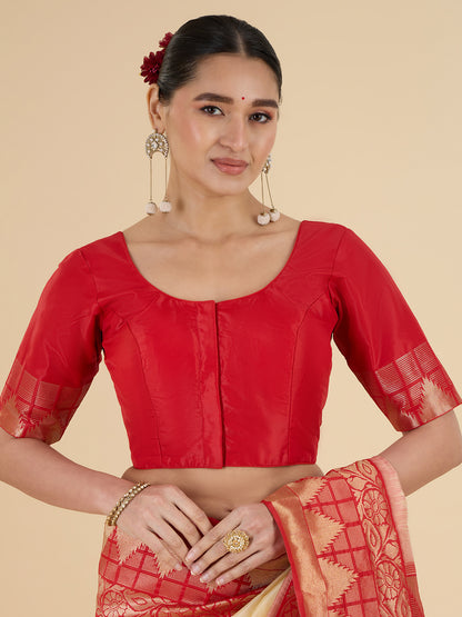 Parisha Choli Saree