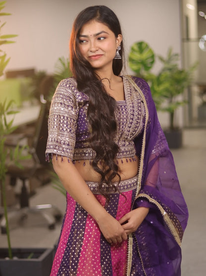 Nisha Lehenga Choli