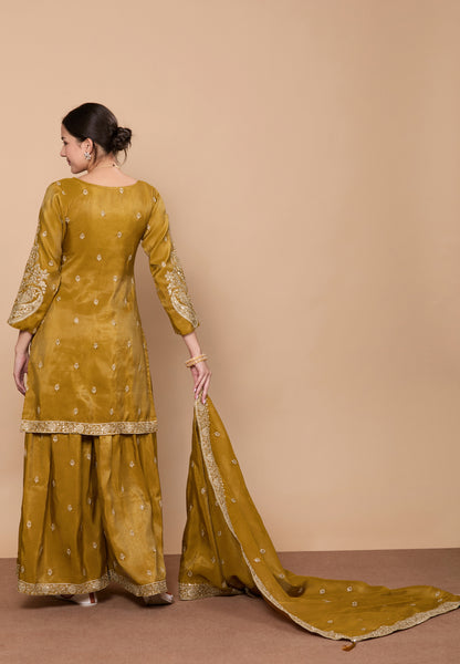 Aditi Palazzo Suit - Roop Darshan