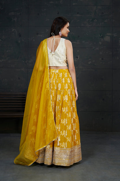 Safina Lehenga Choli - Roop Darshan