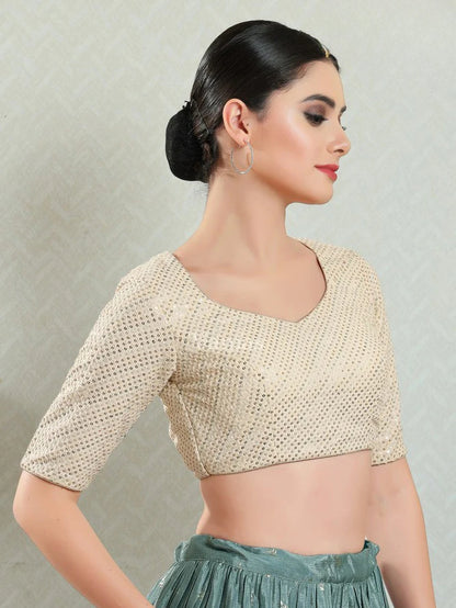 Sequence Work Fancy Blouse - Roop Darshan