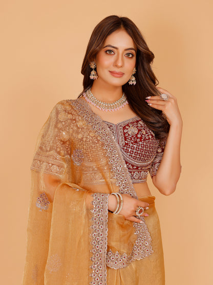 Kayra Choli Saree