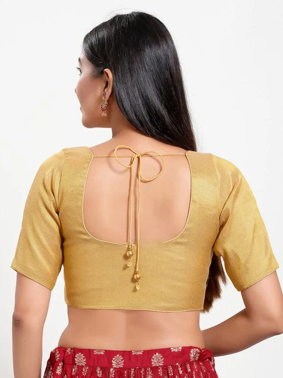 Fancy Saree Blouse - Roop Darshan