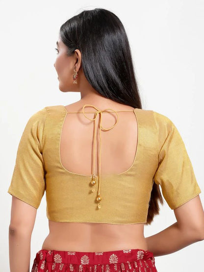 Fancy Saree Blouse - Roop Darshan