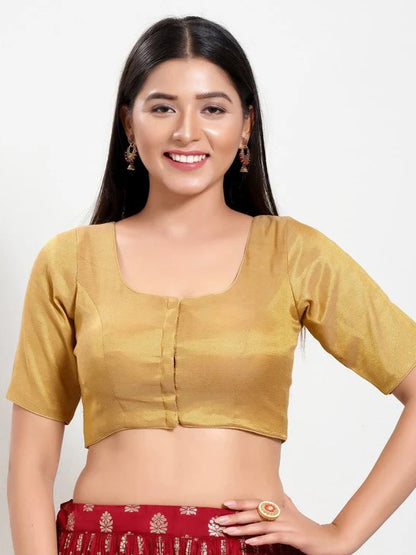 Fancy Saree Blouse - Roop Darshan
