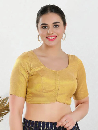 Fancy Saree Blouse - Roop Darshan