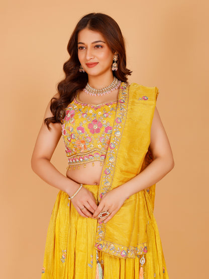Aneri Lehenga Choli