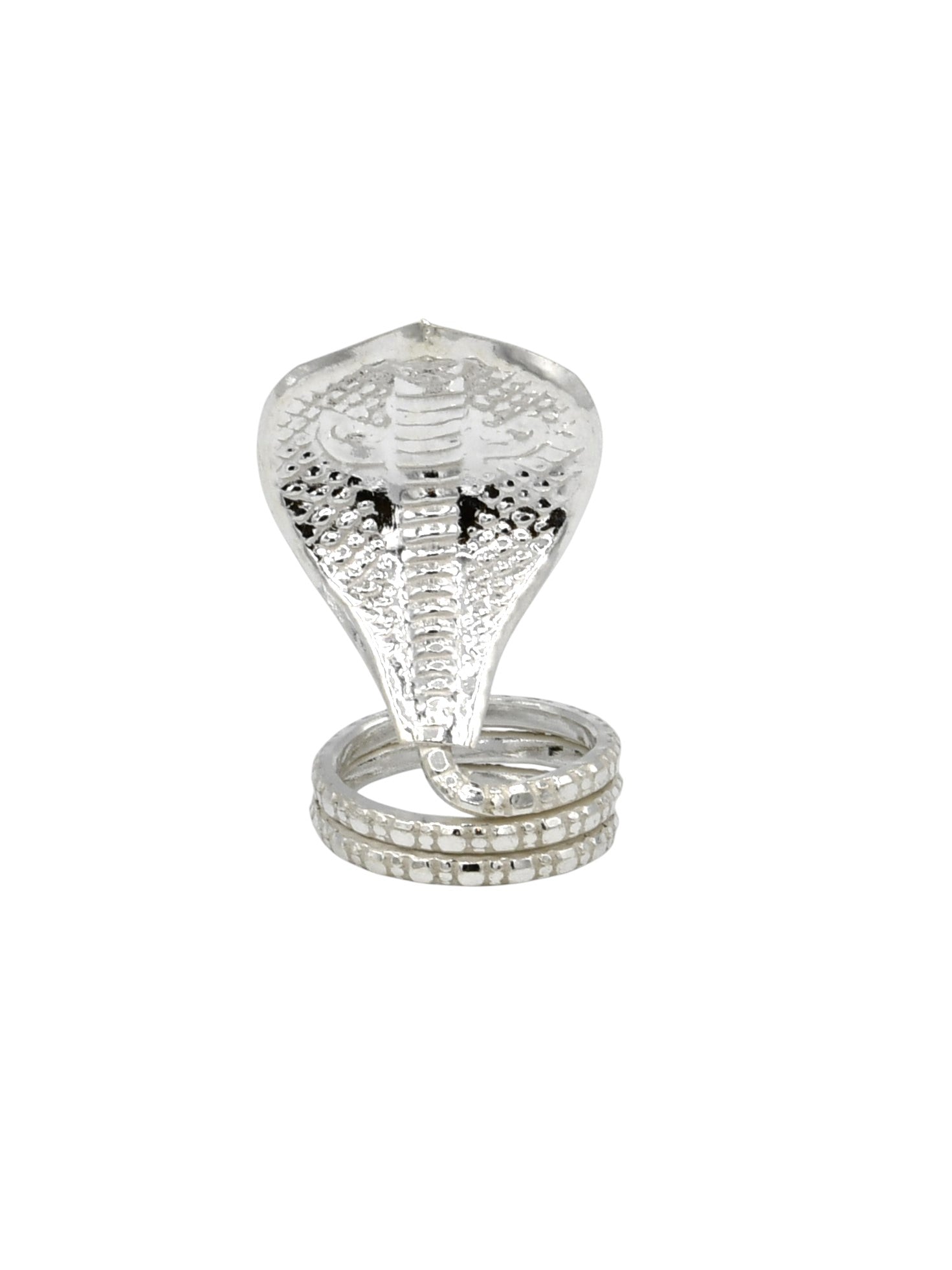 Silver Snake - Roop Darshan