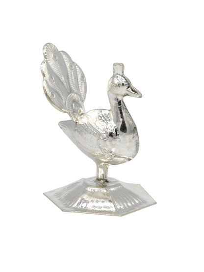 Silver Peacock