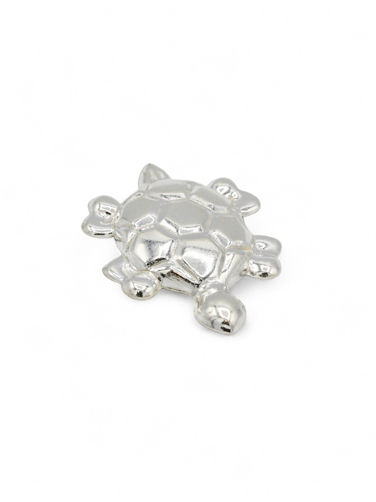 Silver Turtle