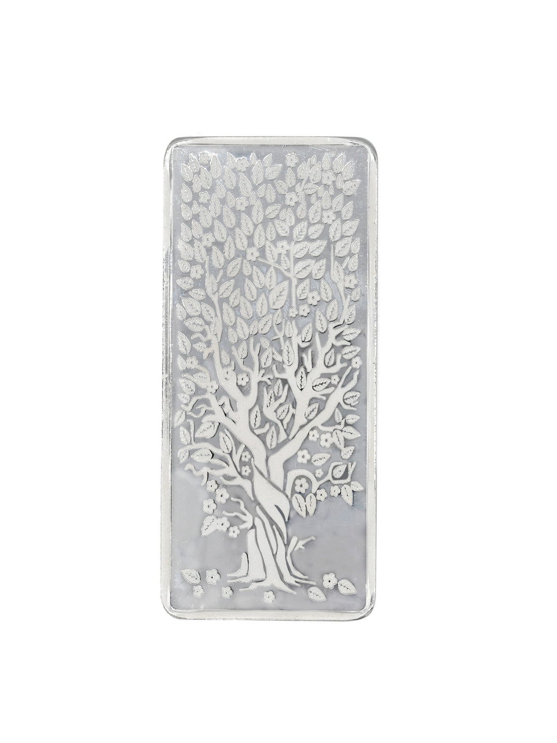 100 Grams Silver Bar