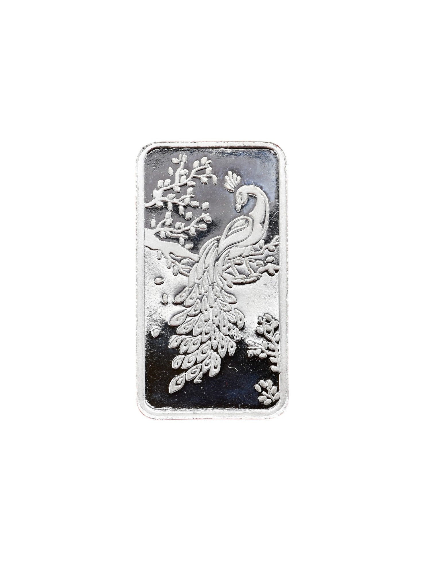 10 Grams Silver Coin