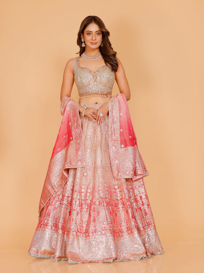 Helly Lehenga Choli
