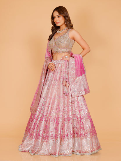 Helly Lehenga Choli