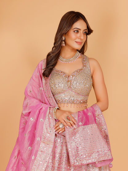 Helly Lehenga Choli