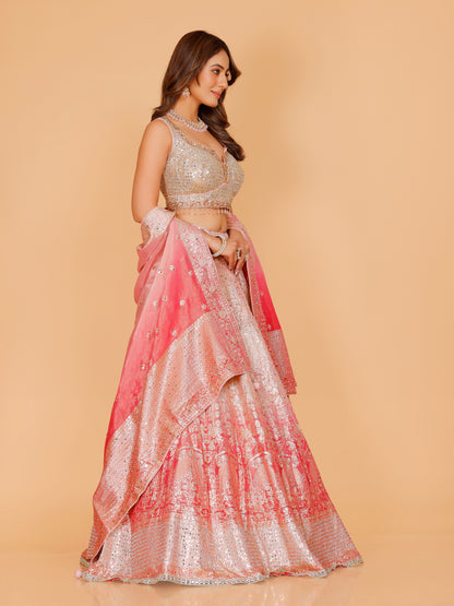 Helly Lehenga Choli