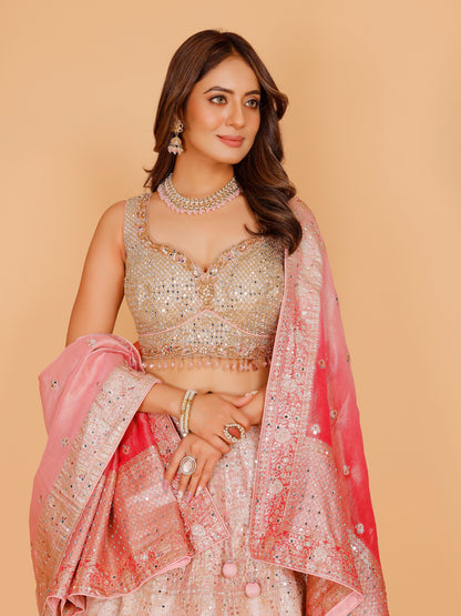 Helly Lehenga Choli