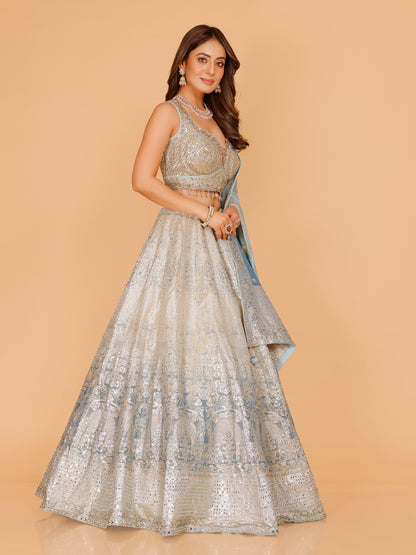 Helly Lehenga Choli