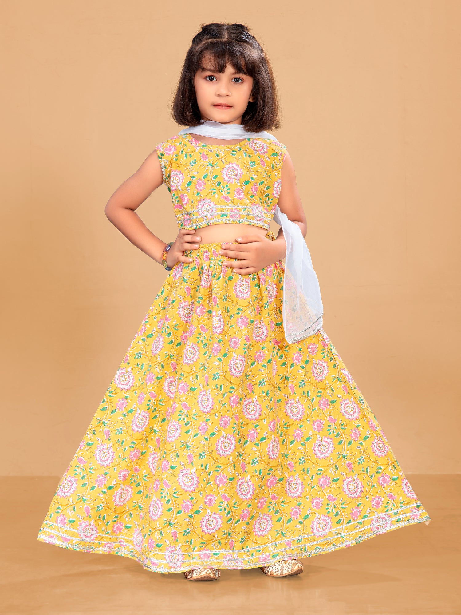 Ruhi Choli Suit