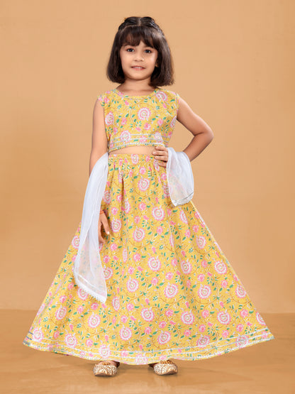 Ruhi Choli Suit
