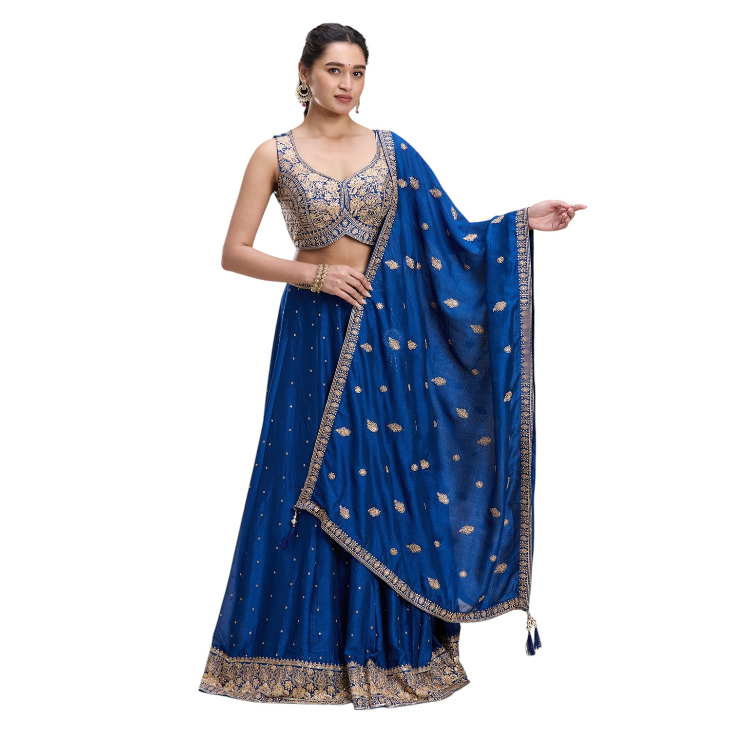 Trisha Lehenga Choli