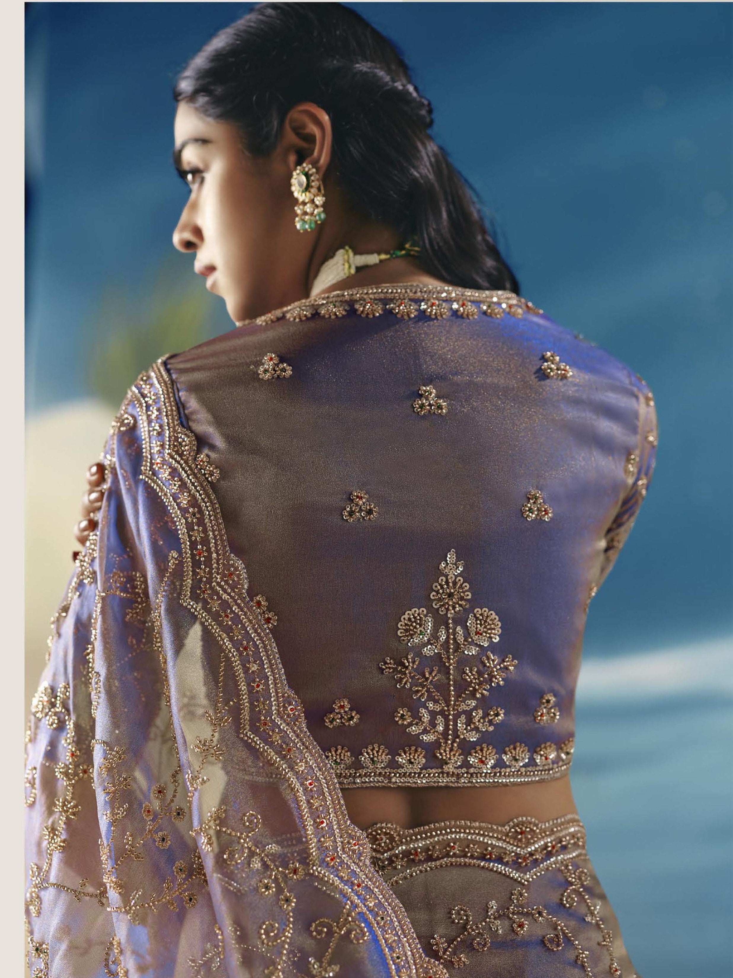 Mahita Choli Saree - Roop Darshan