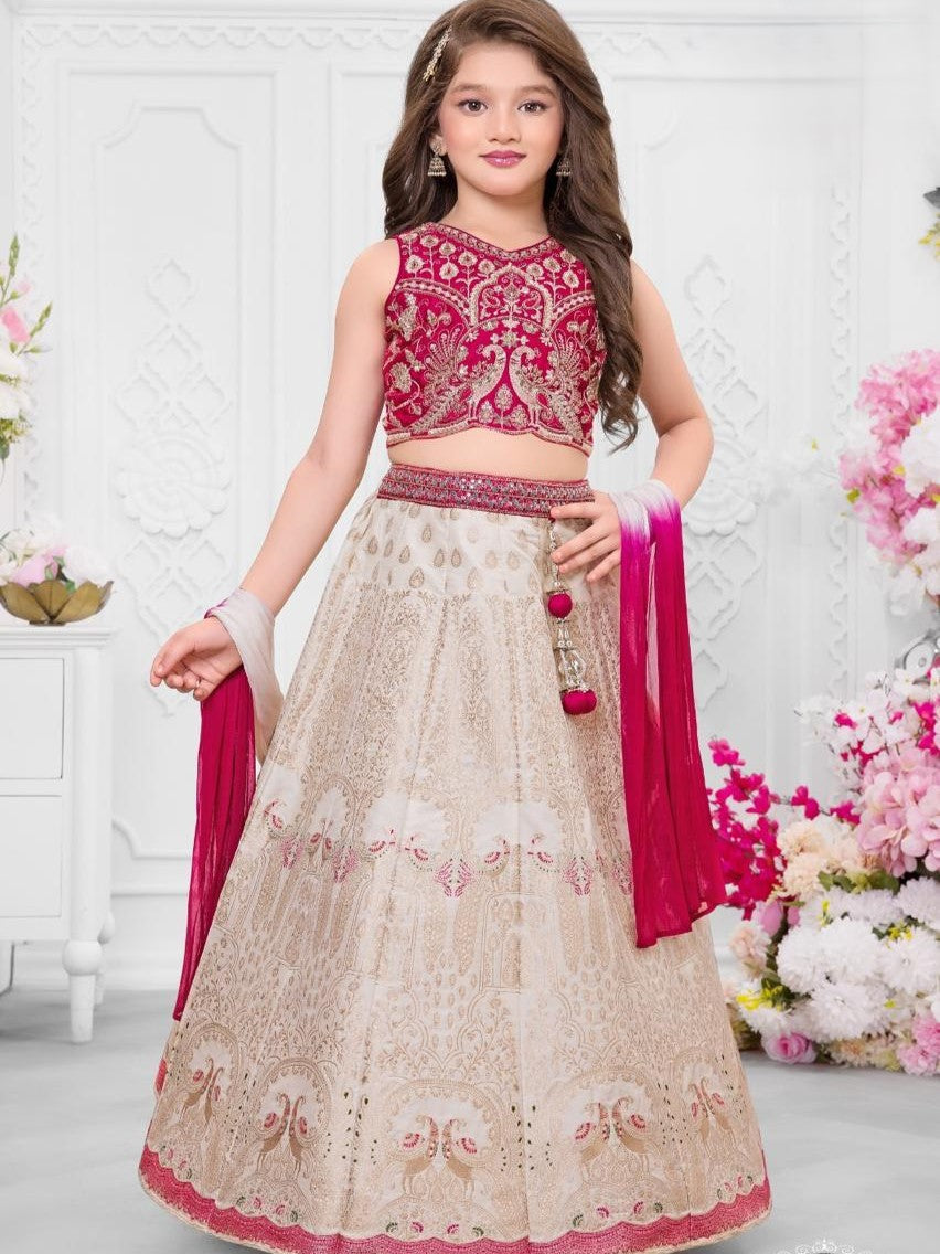Pari Choli Suit