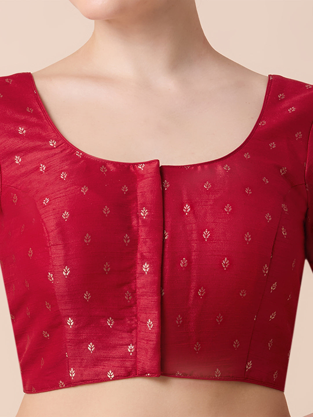 Dupion Silk Saree Blouse - Roop Darshan