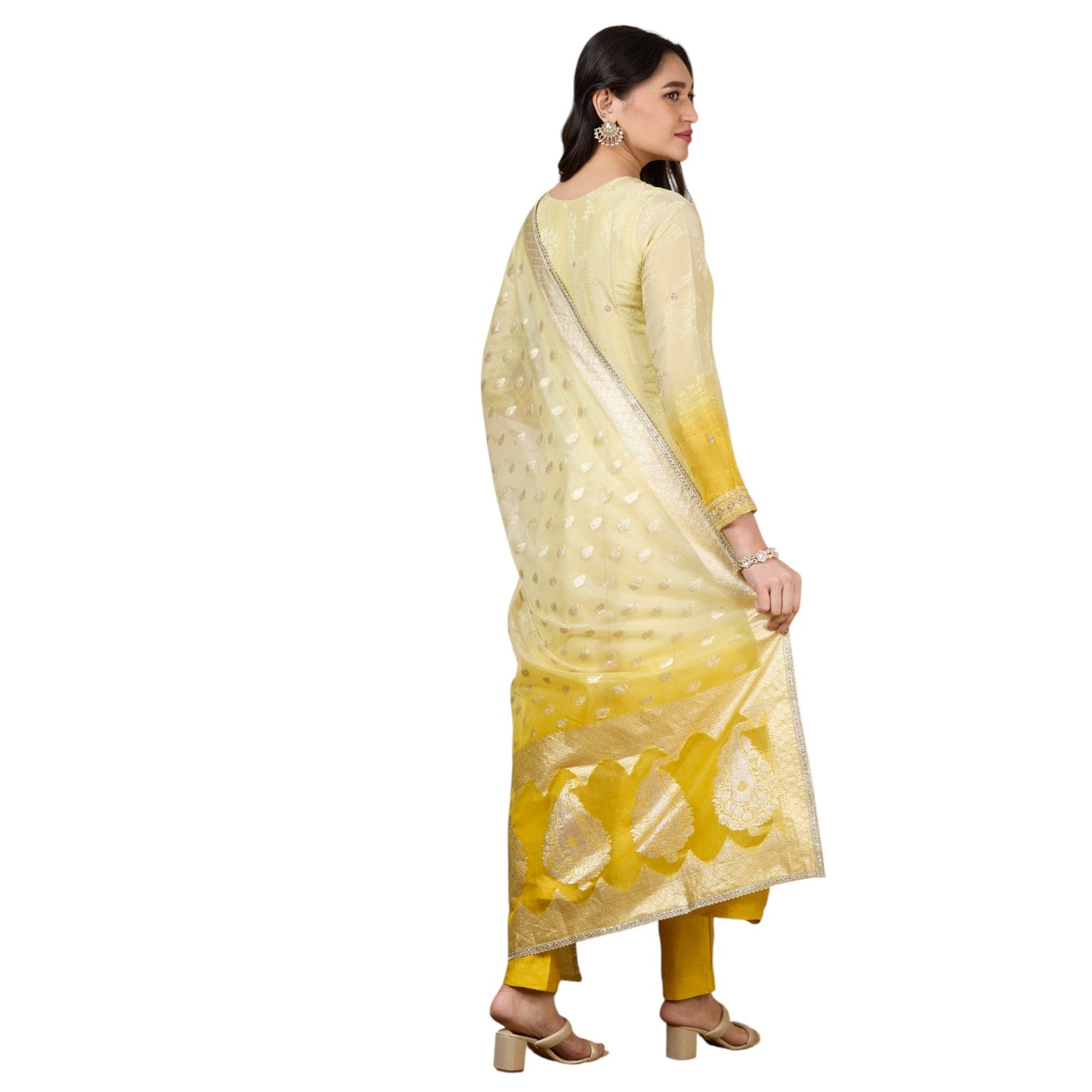Tanvi Flair Suit - Roop Darshan