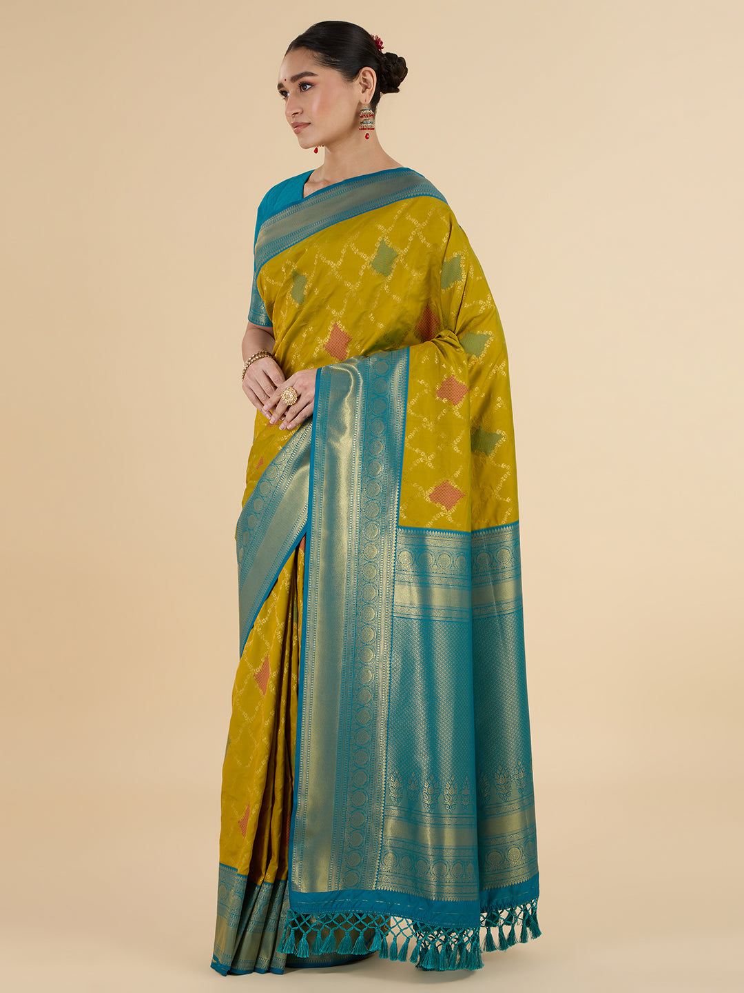 Rashi Choli Saree