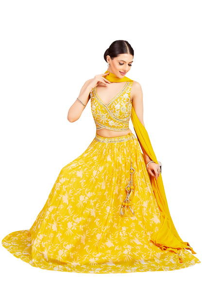 Anamika Lehenga Choli - Roop Darshan