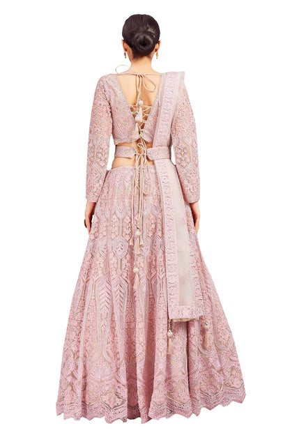 Avni Lehenga Choli - Roop Darshan